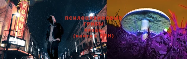 гашик Верхний Тагил