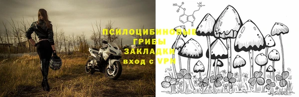 гашик Верхний Тагил