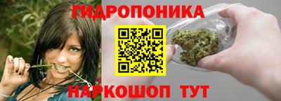 скорость Ижевск