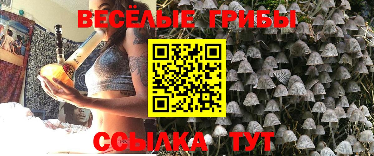 Псилоцибиновые грибы мицелий  Псилоцибиновые грибы MAGIC MUSHROOMS  Вход с VPN  Евпатория 